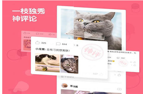 日頭條推送了一款名叫&ldquo;皮皮蝦&rdquo;的app