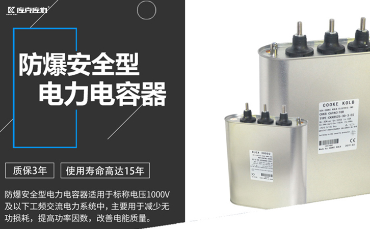 防爆電力電容器